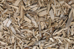 biomass boilers Pantasaph